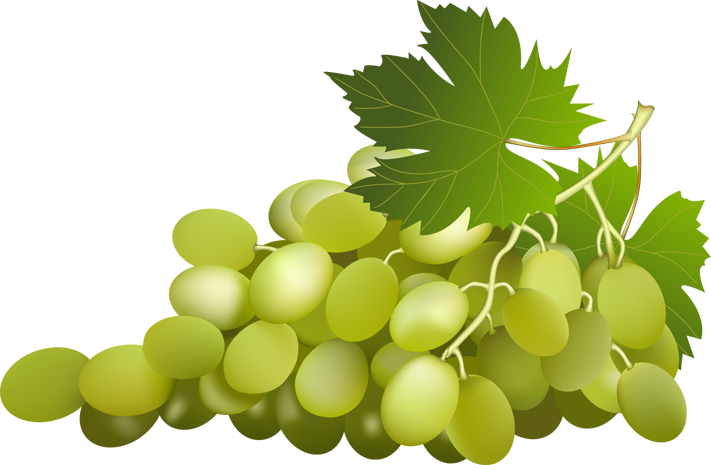 green grapes clipart