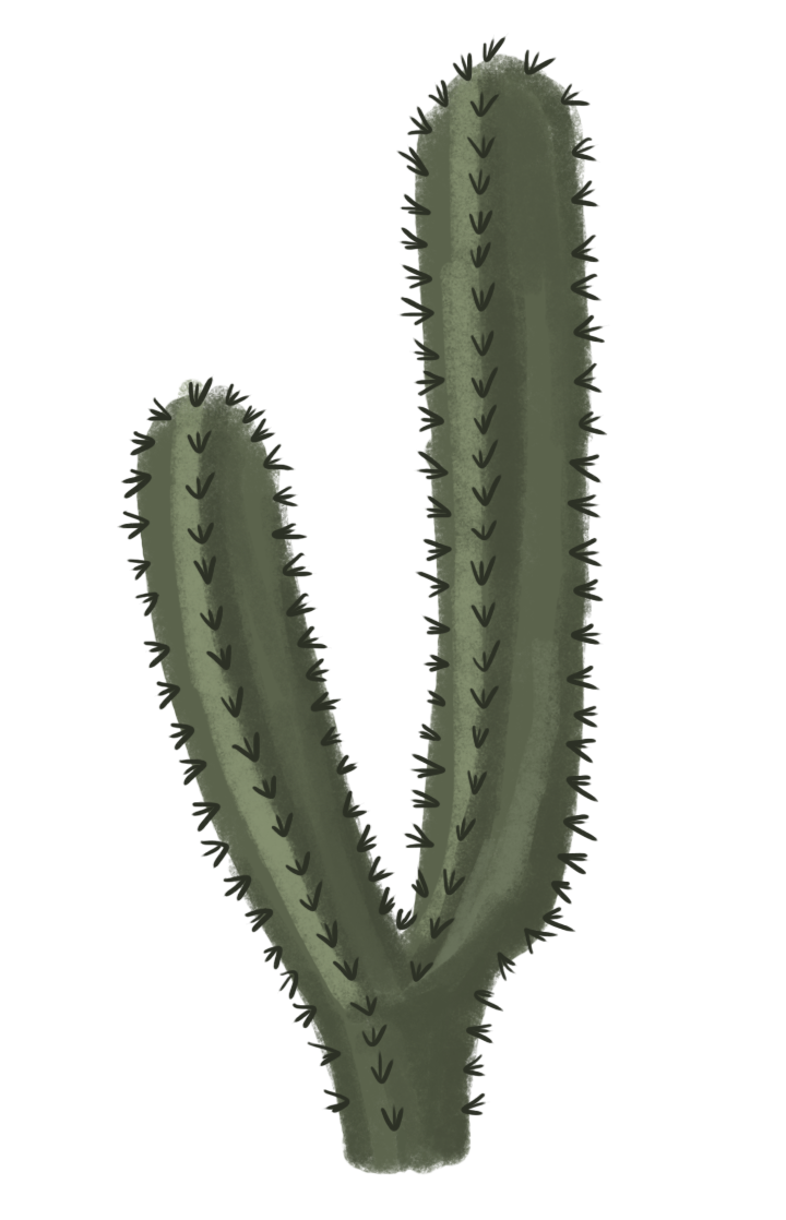 cactus clipart png