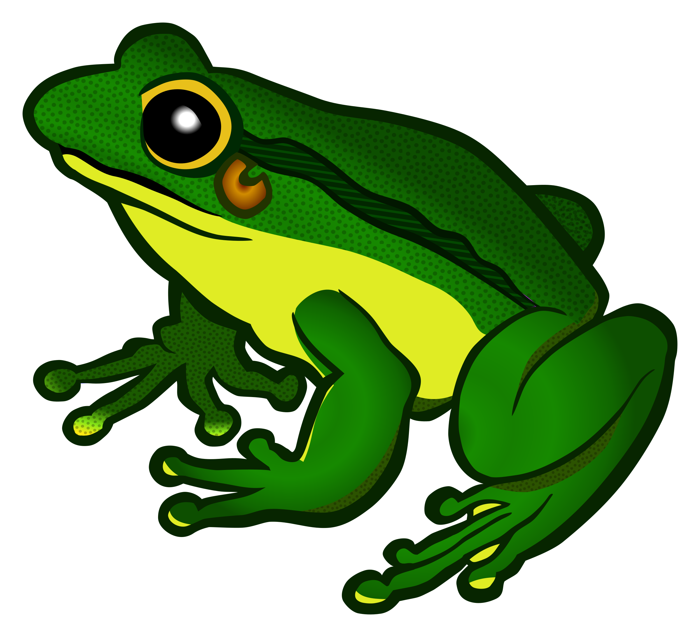 transparent background frog