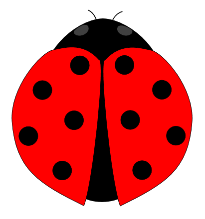 Download Ladybug Png Image HQ PNG Image