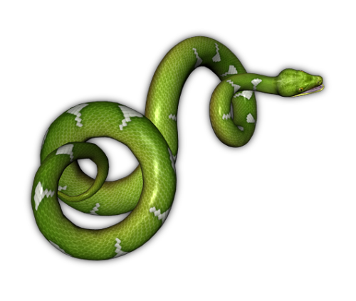 Download Green Snake Transparent Background HQ PNG Image | FreePNGImg
