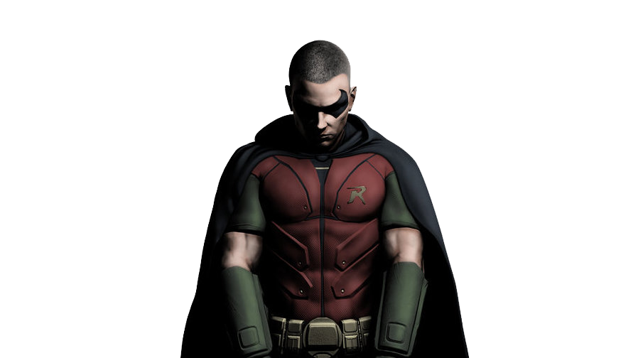 robin arkham city costume for kids