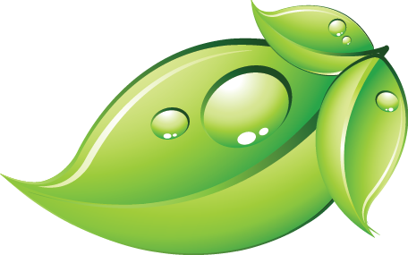 Download Green Leaf Free PNG HQ HQ PNG Image