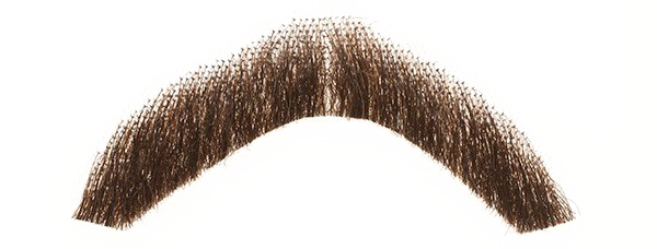 mustache png transparent