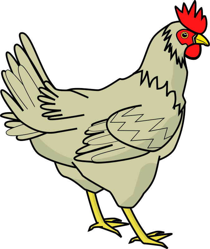 Download Chicken Transparent HQ PNG Image