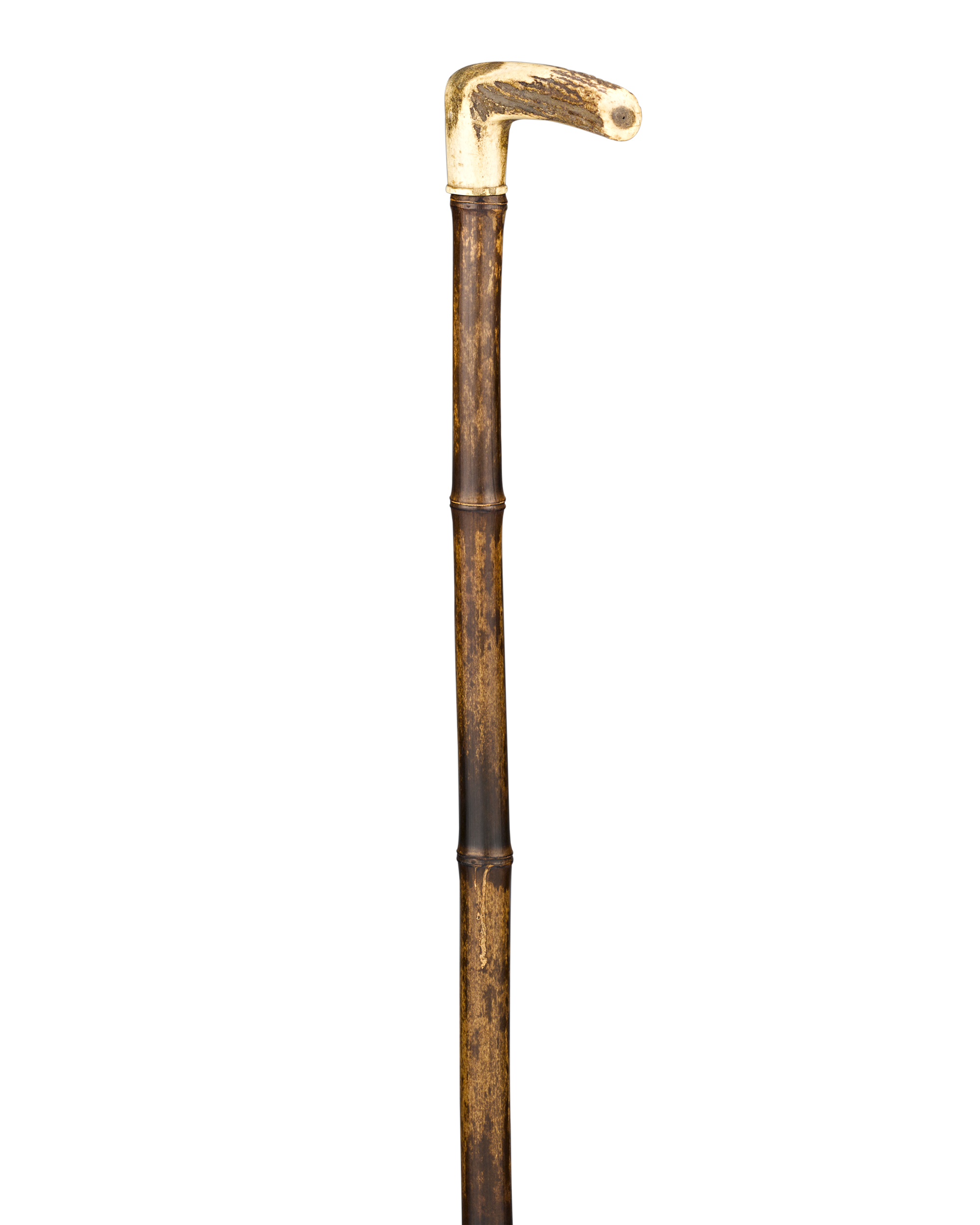 Download Walking Stick Image Free Transparent Image HQ HQ PNG