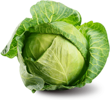 cabbage png