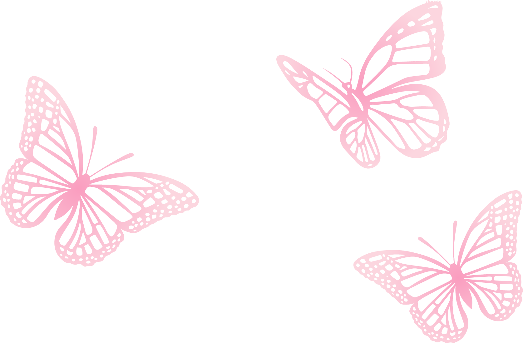 Pink Butterfly Vector Png