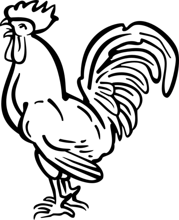 rooster clipart black and white