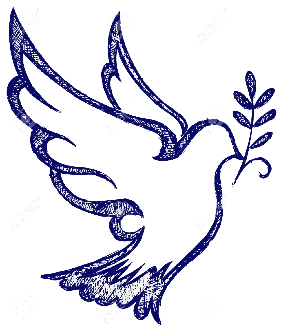 holy spirit dove png