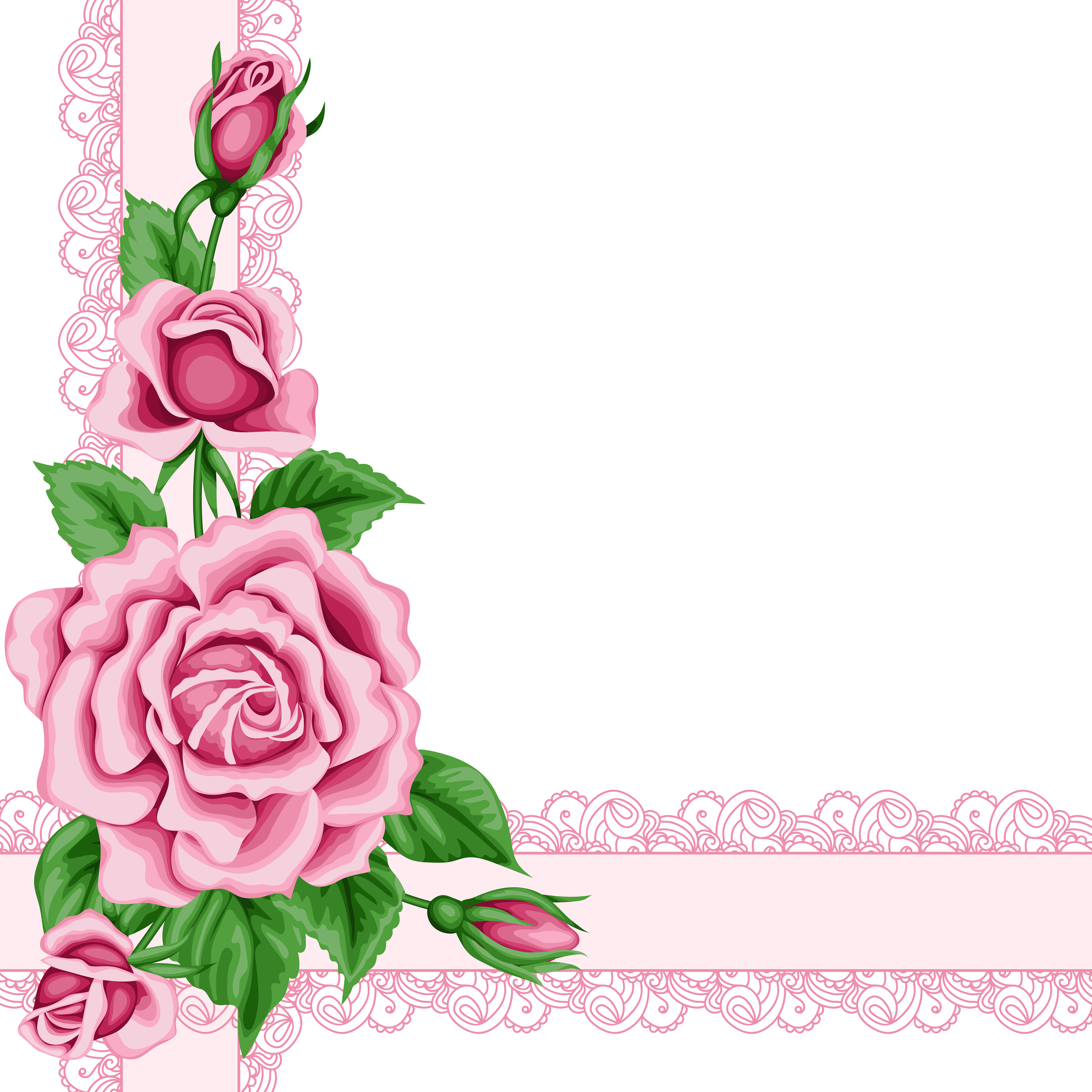 pink roses border