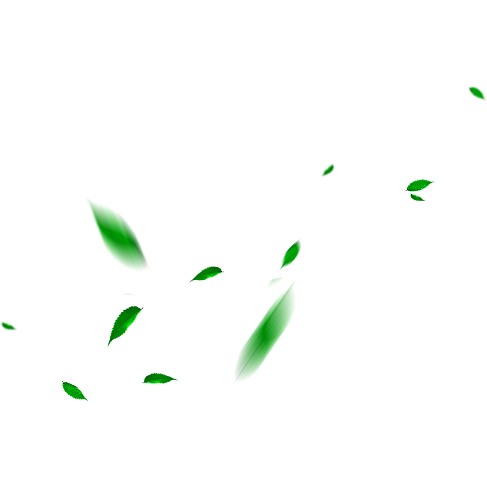 green leaf png