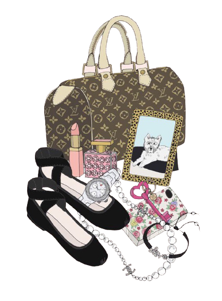 Download Goods Chanel Woman Luxury Handbag Cartoon HQ PNG Image | FreePNGImg