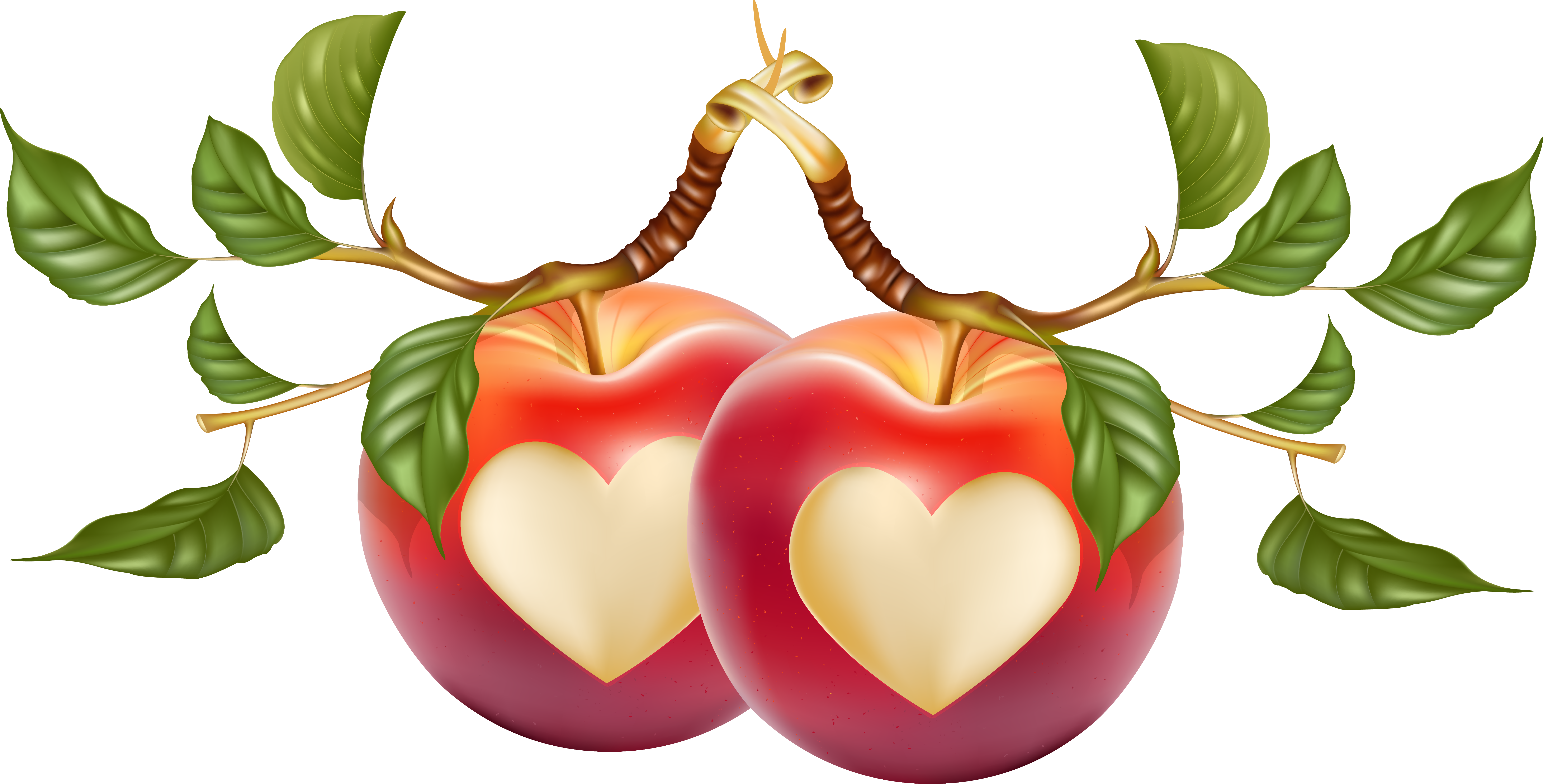 heart shaped apple