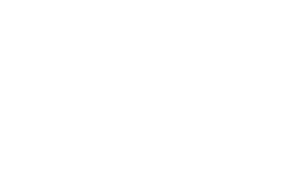 Download White Snowflake Png Image HQ PNG Image