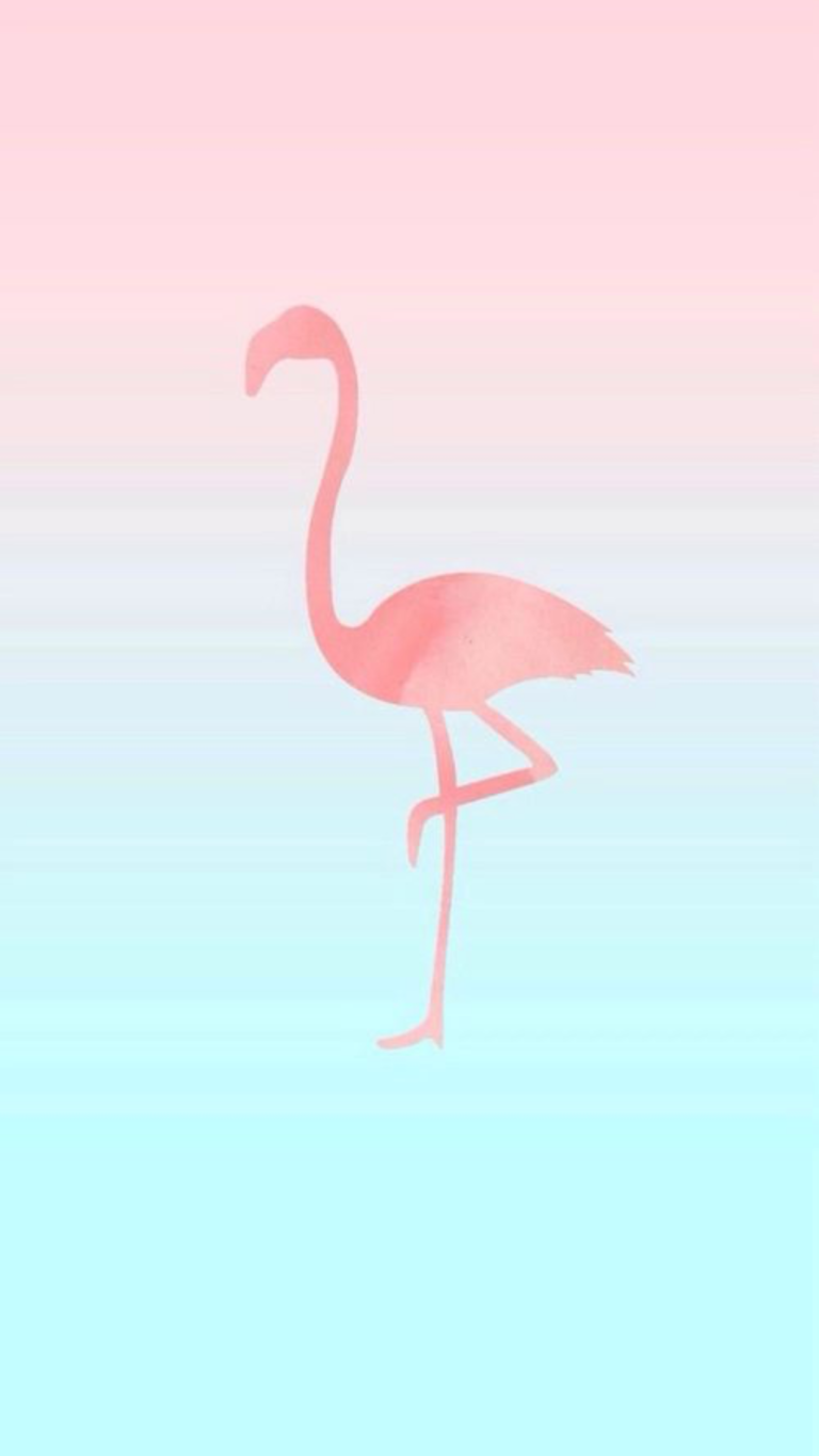 Flamingos wallpaper store