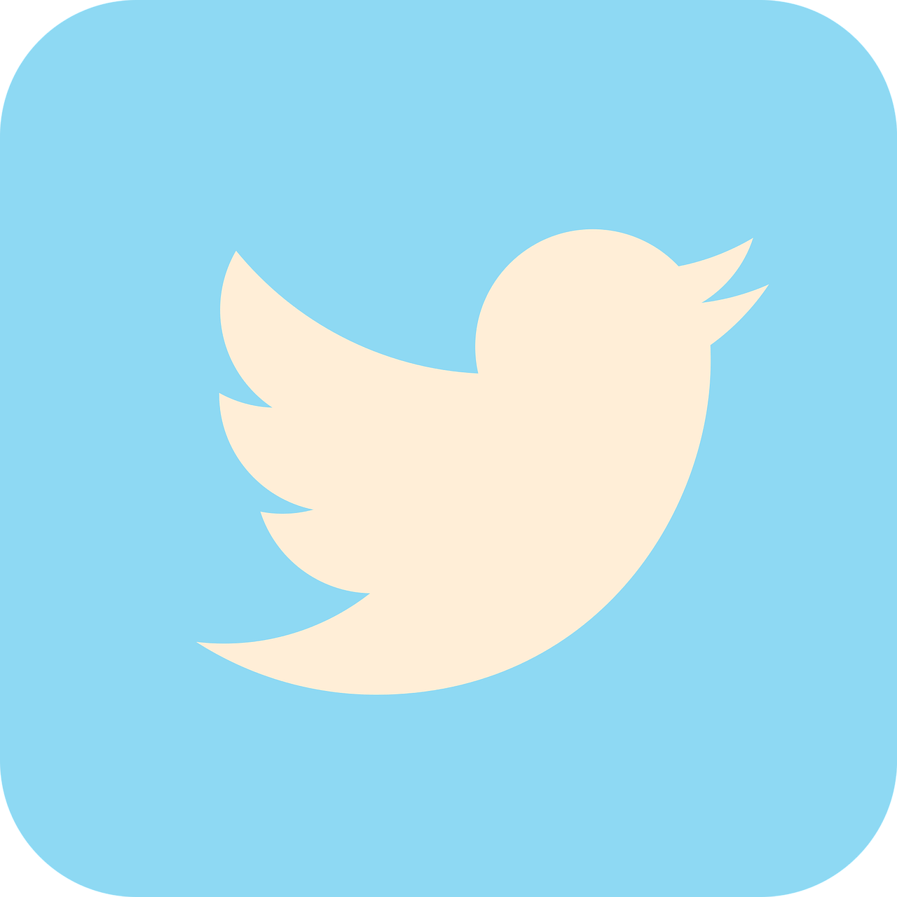 social media icon twitter