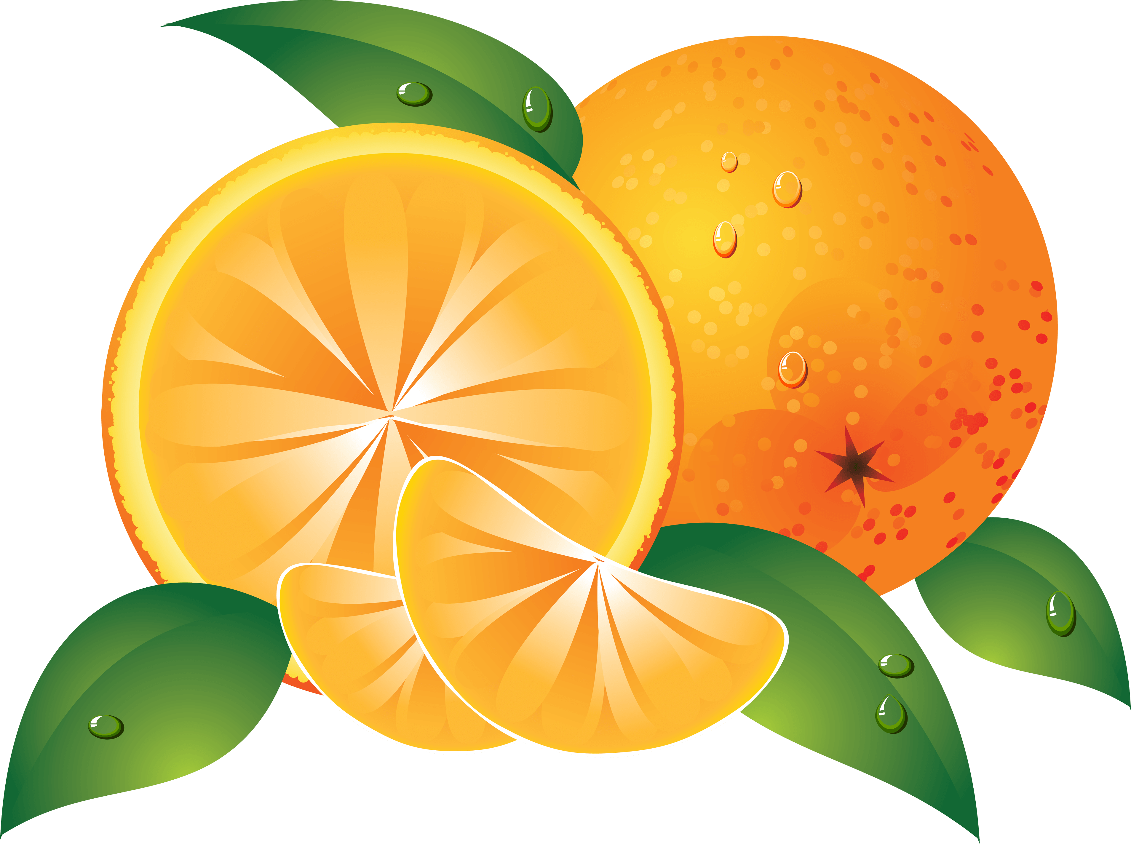 orange fruit vector png