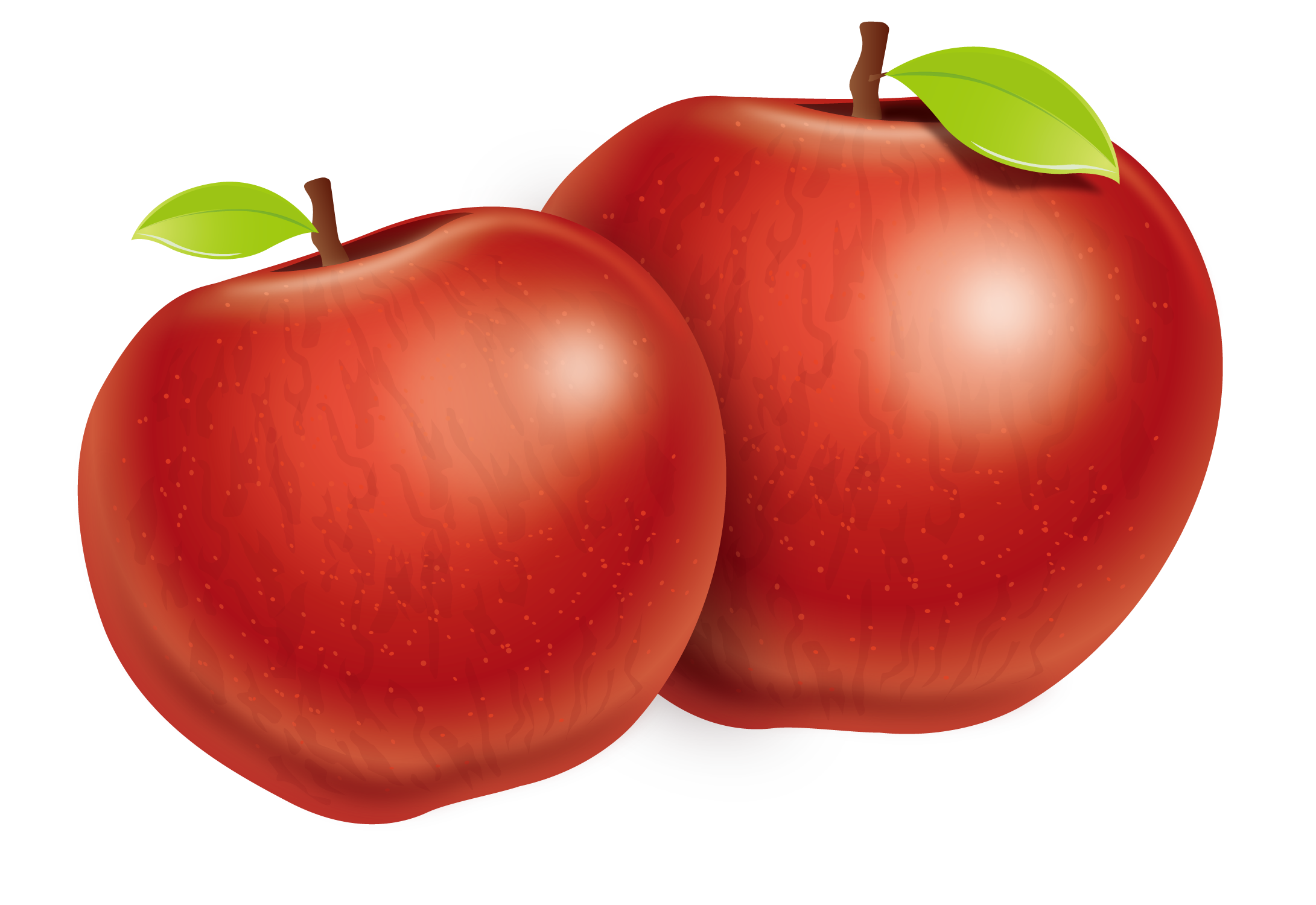 two apples clipart