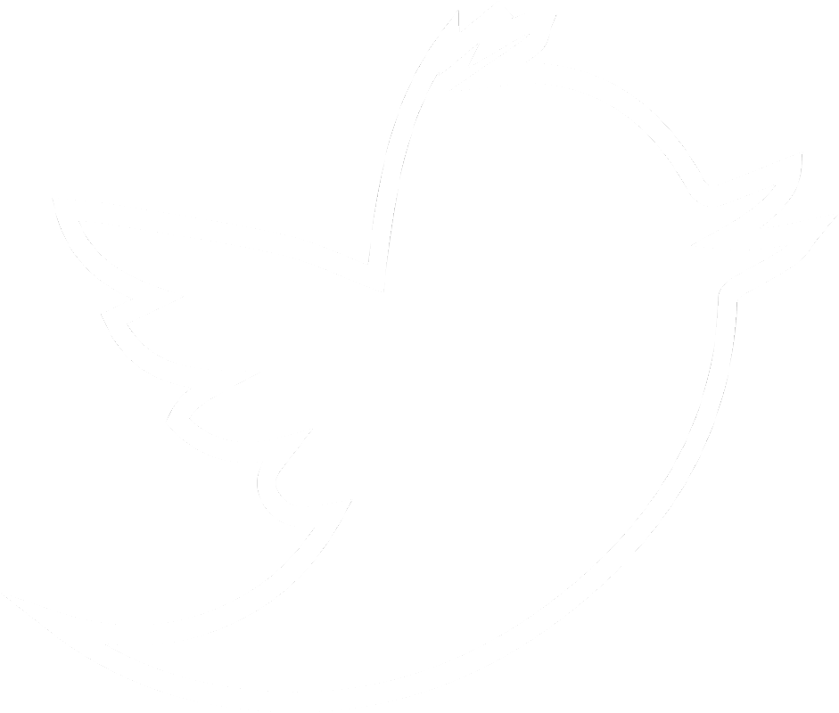 twitter icon black and white png