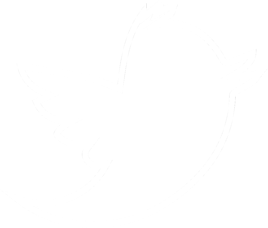 twitter bird logo png transparent