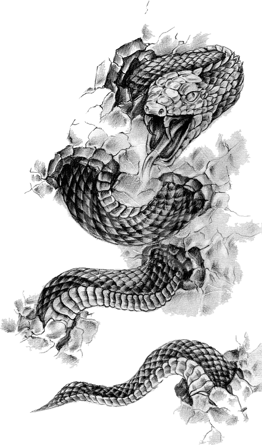 Tattoo Snake  Free Illustrations, Drawings& Backgrounds Images