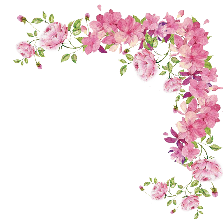 real flowers png