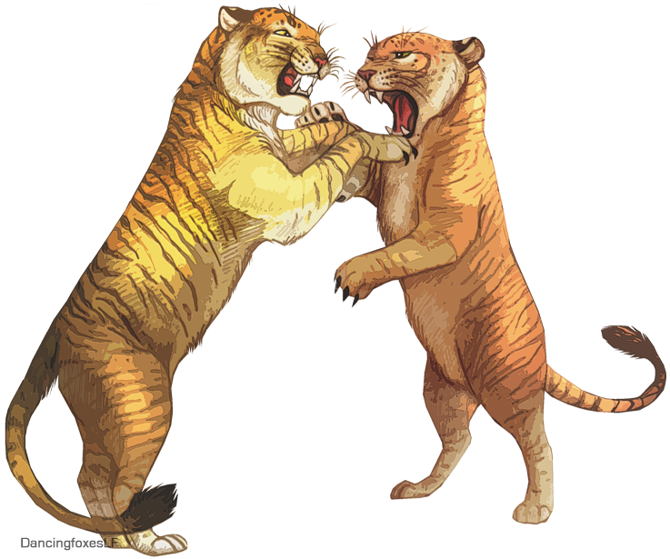 liger vs tiger size