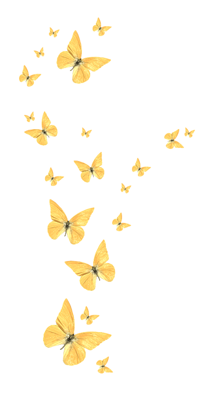 Golden Butterfly PNG Transparent Images Free Download, Vector Files