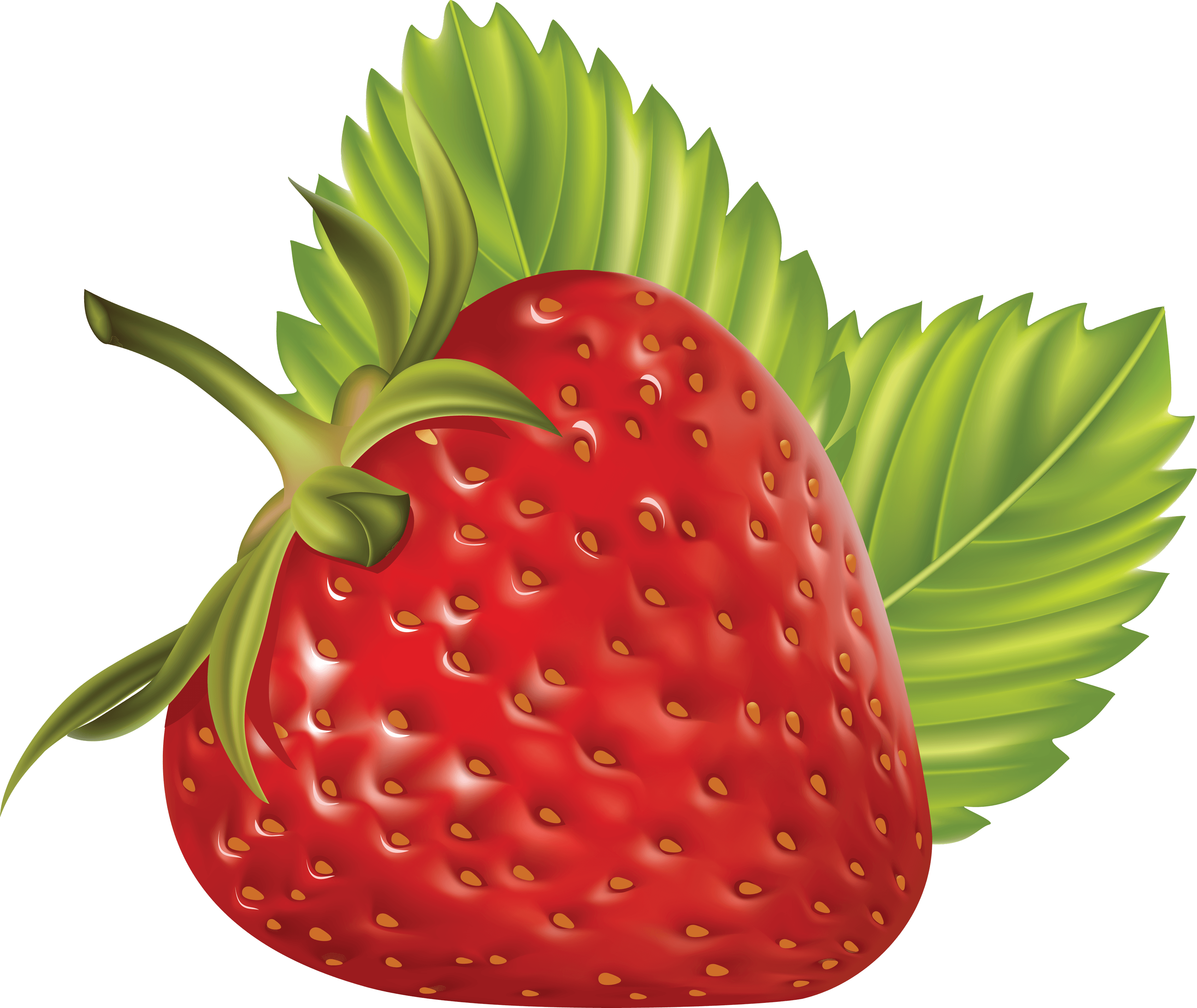 strawberry fruit clip art