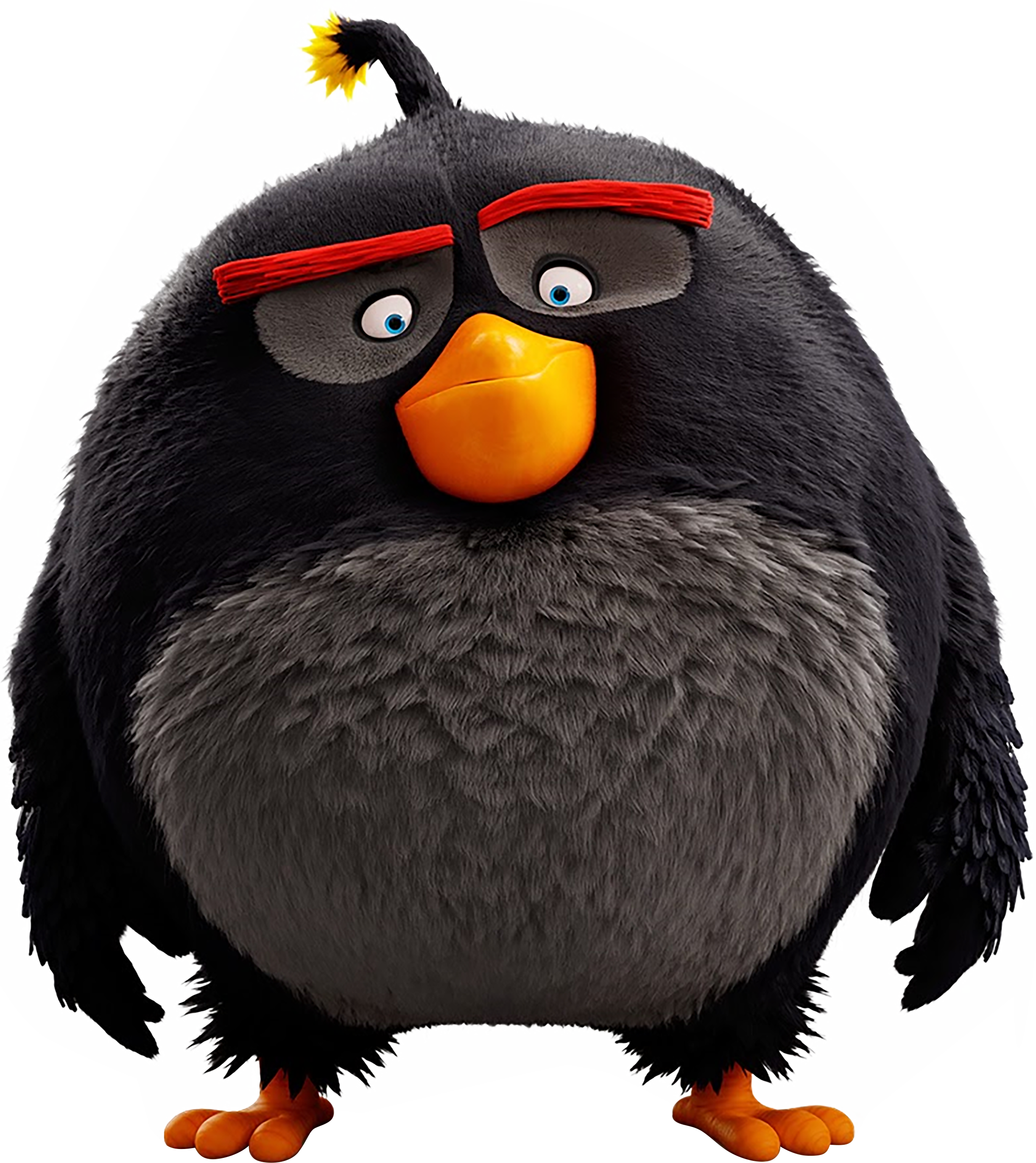 Download Evolution Penguin Eva Angry Bird Birthday Mom HQ PNG Image |  FreePNGImg