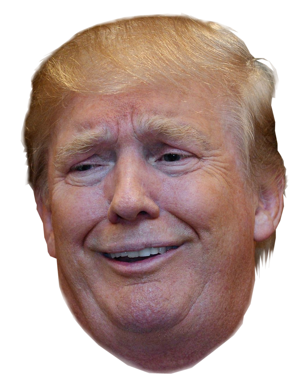 Download Funny Head Trump Youtube Up Face Donald HQ PNG Image | FreePNGImg