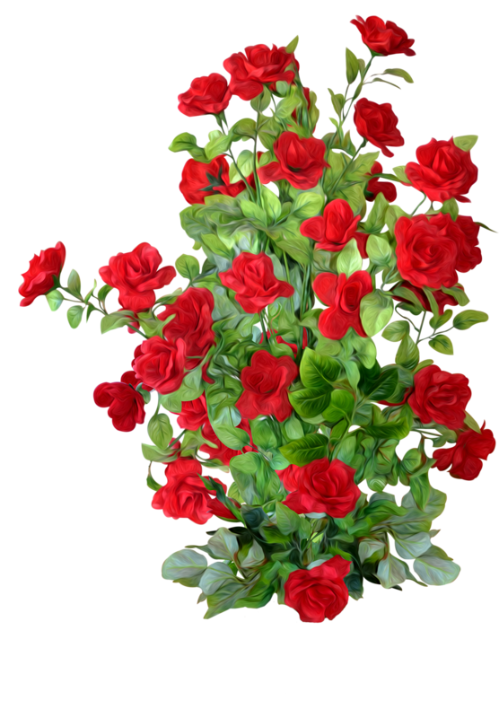 garden flowers png