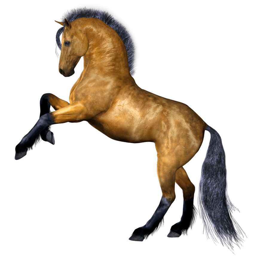 Brown horse, brown, steed, animal png