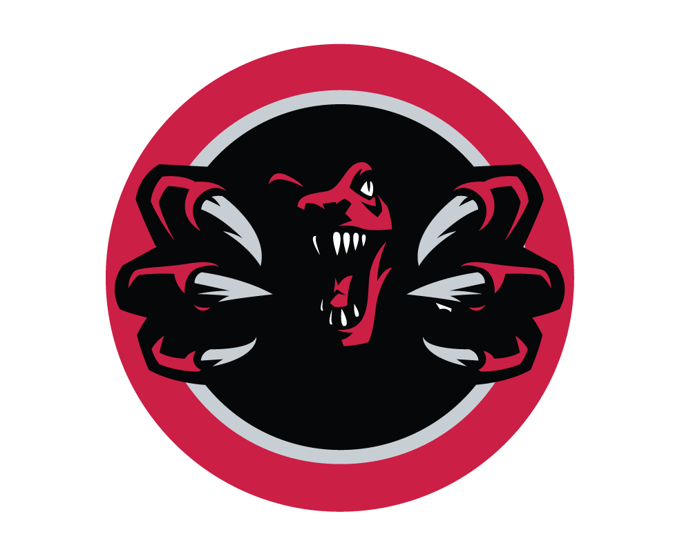 Toronto Raptors Logo Png 500x666 PNG Download PNGkit | atelier-yuwa.ciao.jp