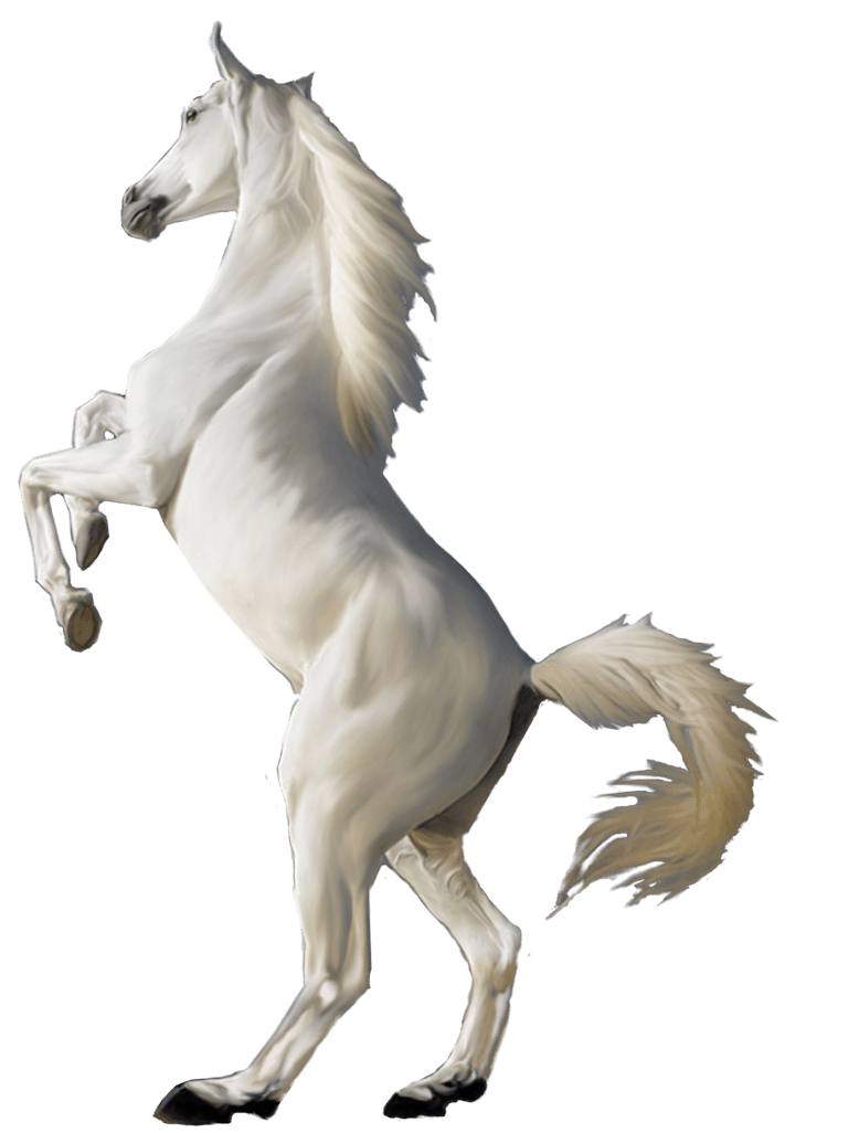 Horse, horse, horse, animals png