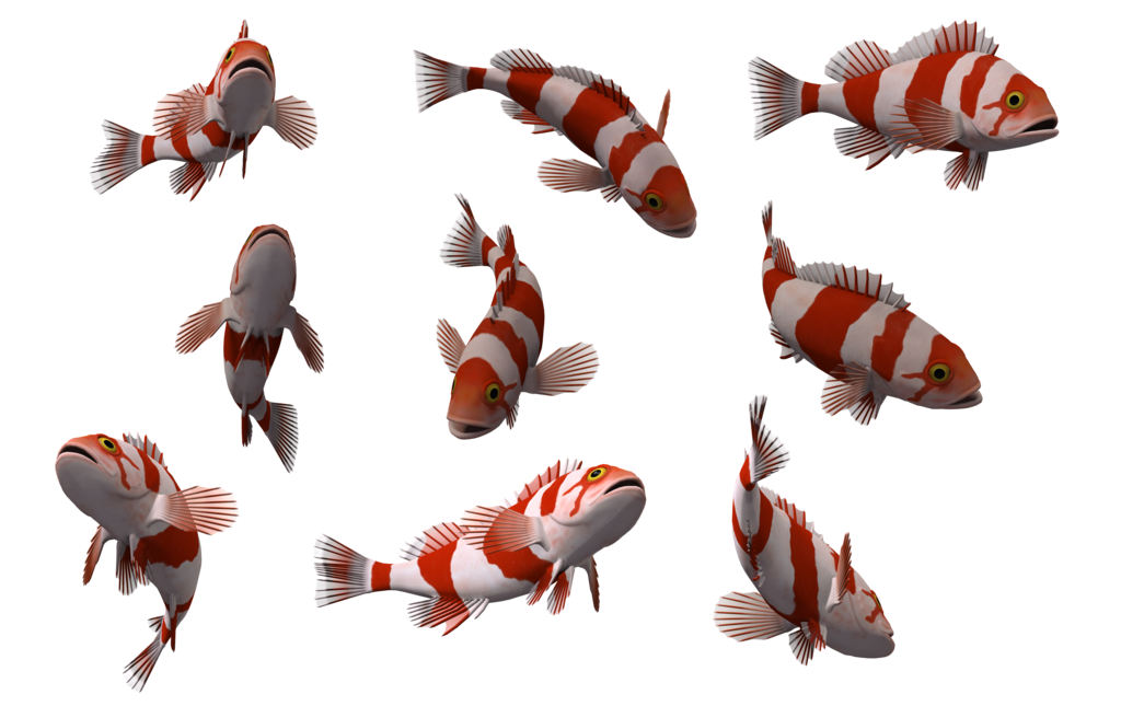 transparent background fish