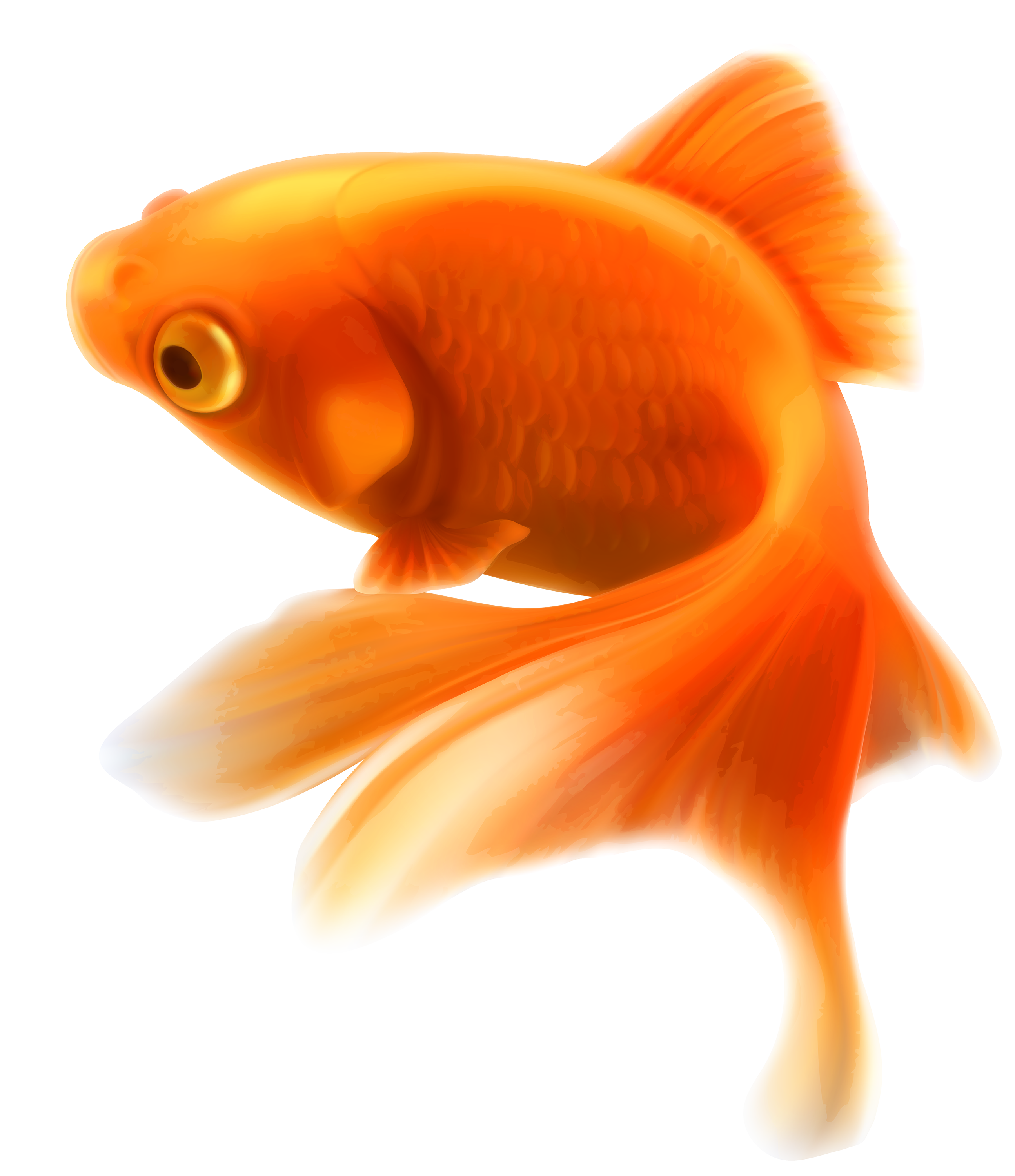 Small Fish PNG Transparent Images Free Download