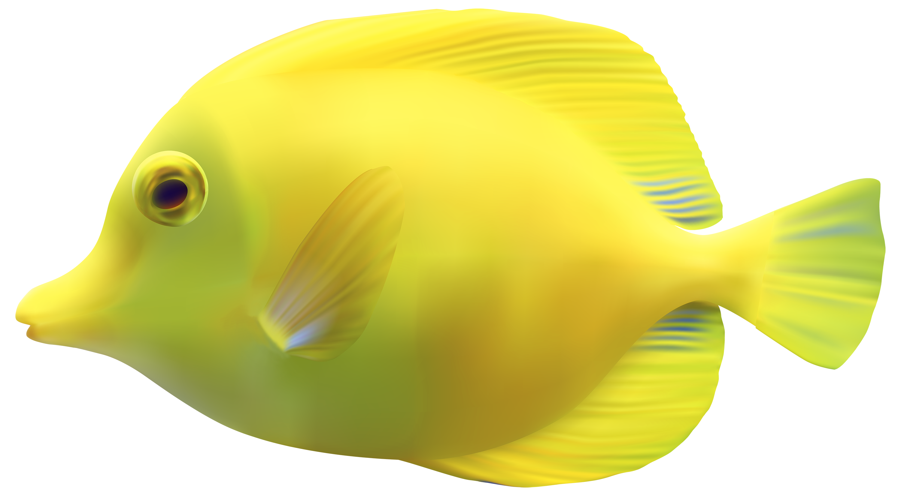 Colorful fish clip art PNG - Similar PNG