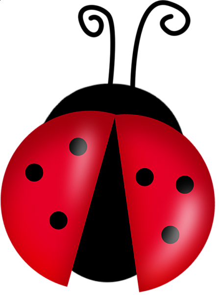 ladybug PNG image transparent image download, size: 1994x2247px