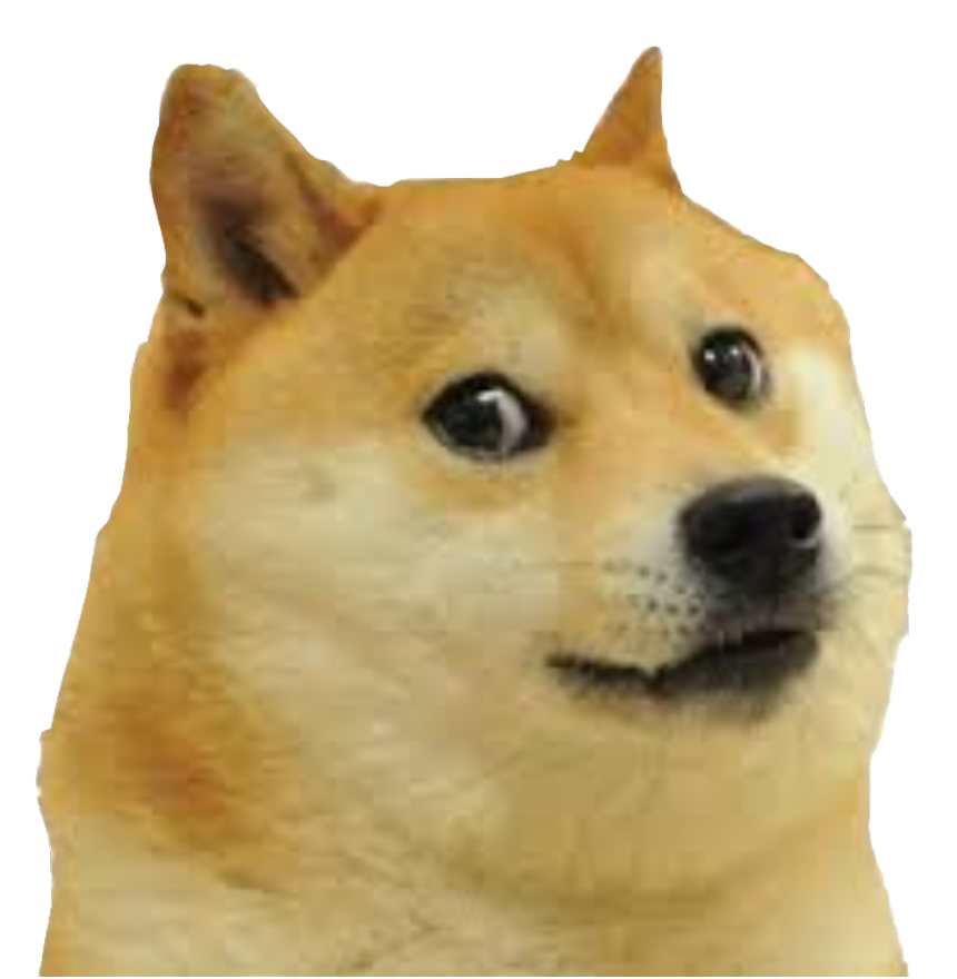 doge transparent png