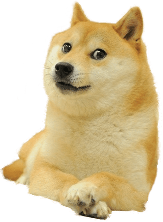 doge meme wow amaze