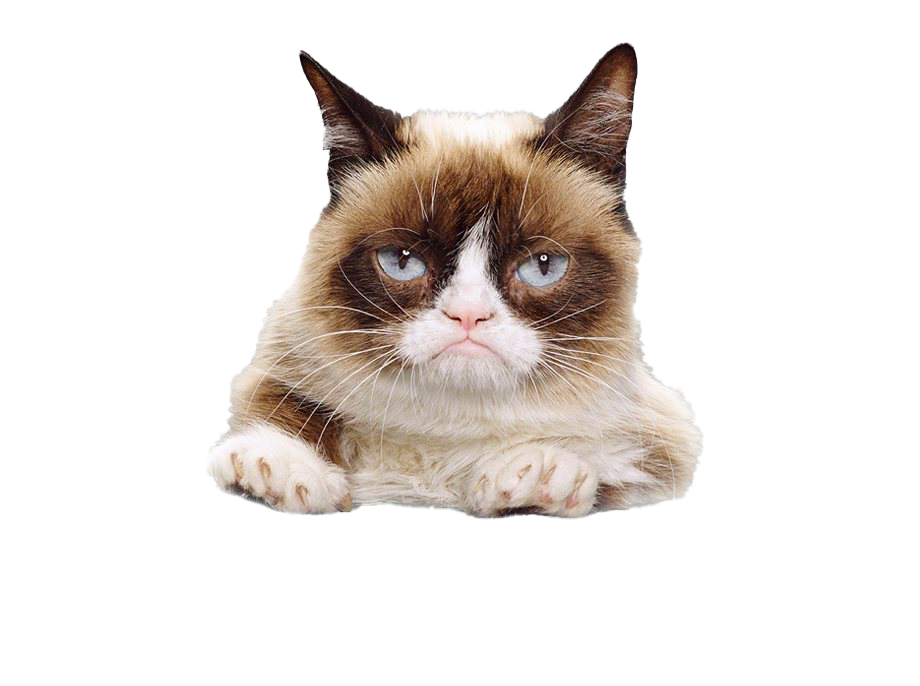 grumpy cat head png