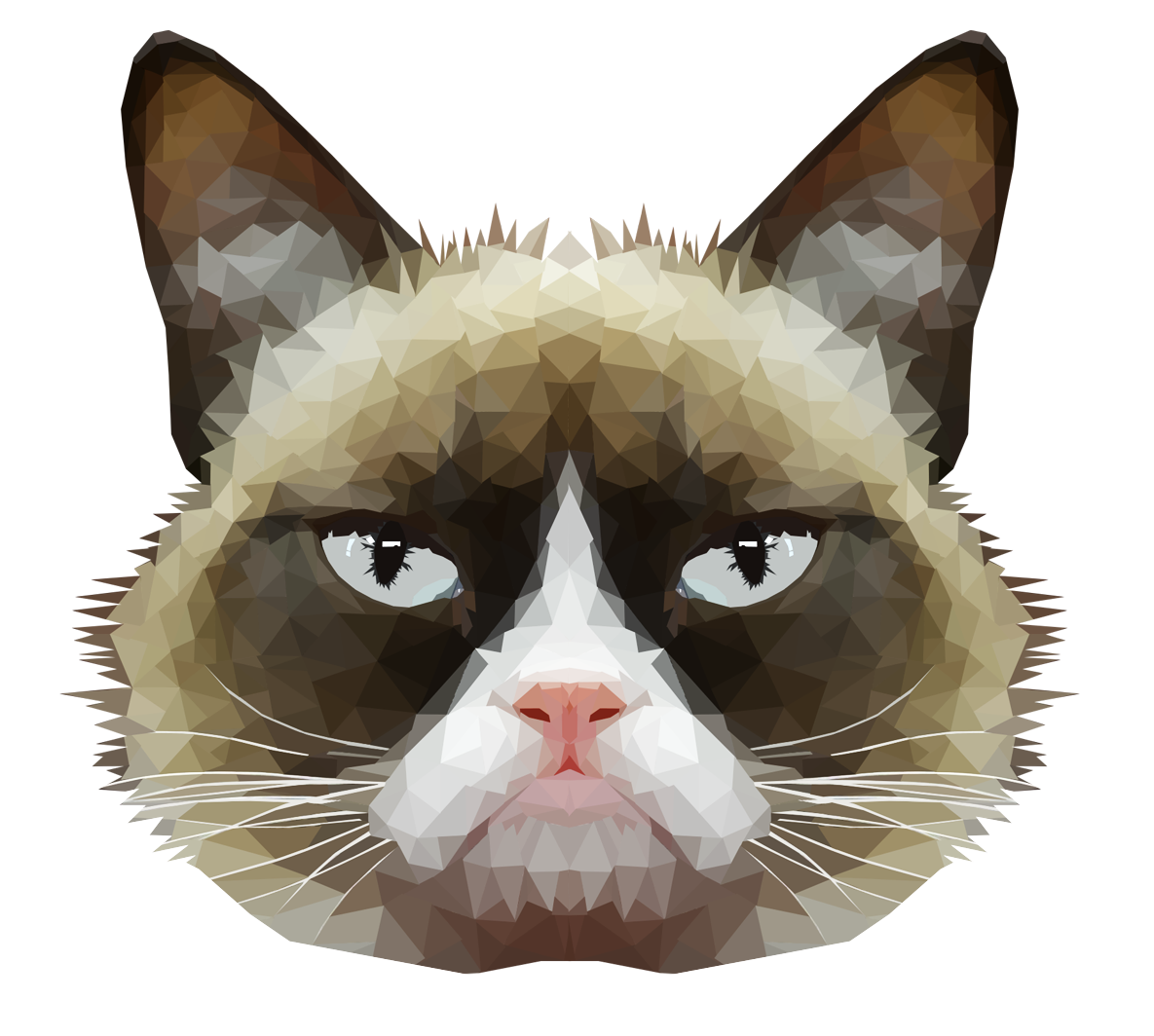 Grumpy Cat transparent background PNG cliparts free download