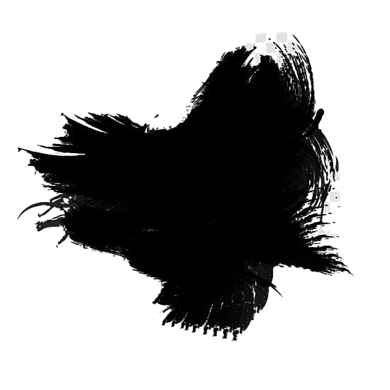 Black Feather PNG Images, Painting, Ink, Black PNG Transparent