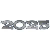 Happy New Year 2025 Magic Hour PNG
