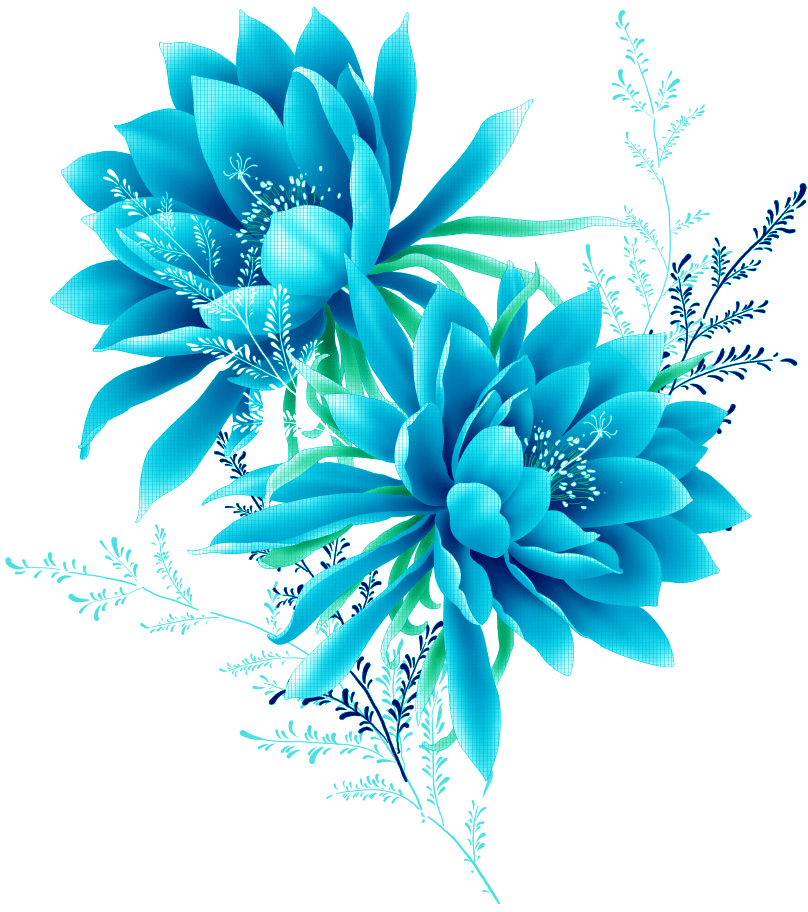 Images Abstract Flower Free Transparent Image HD PNG Image