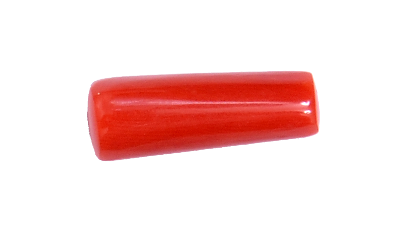 Coral Gem Red Download HQ PNG Image