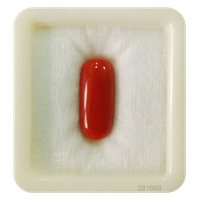 Coral Pic Gem Red Free Clipart HQ