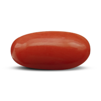 Picture Coral Gem Red Free HD Image